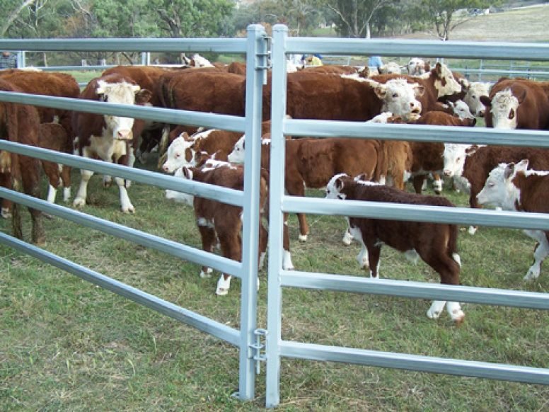 Farm Fencing